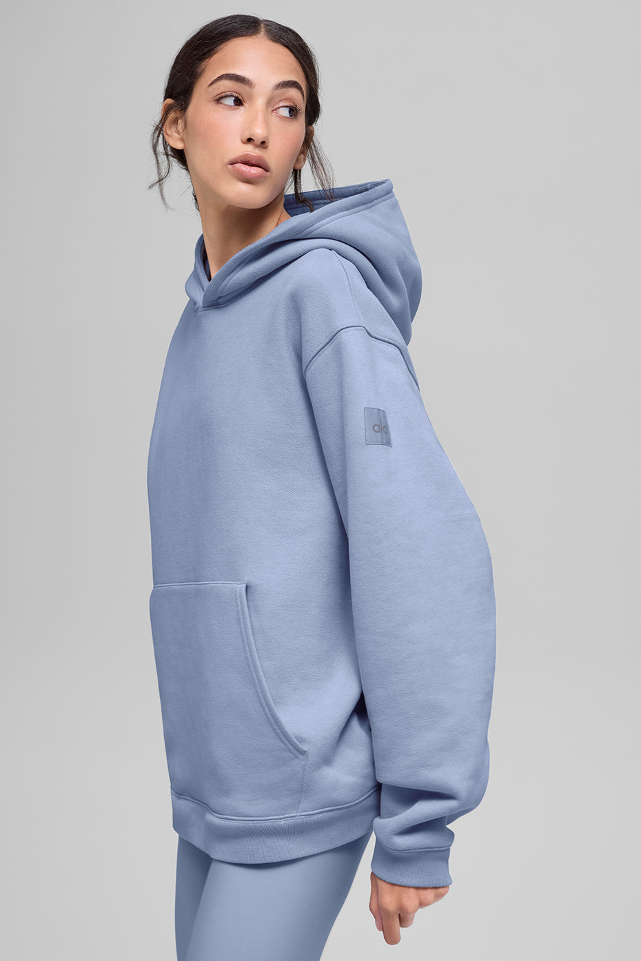 Renown Heavy Weight Hoodie - Winter Frost